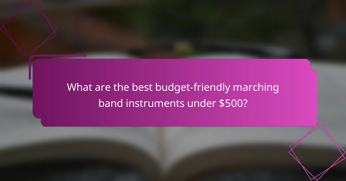What are the best budget-friendly marching band instruments under $500?
